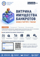 УФНС: Маркетплейс «Витрина имущества банкротов» поможет расширить круг потенциальных покупателей