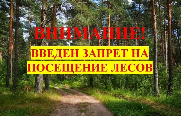 Объявление!!!